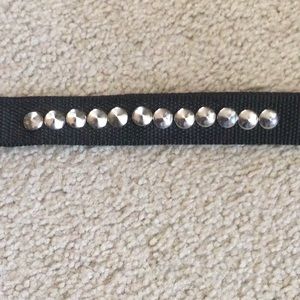 Homie Pet’s World Color NWT.